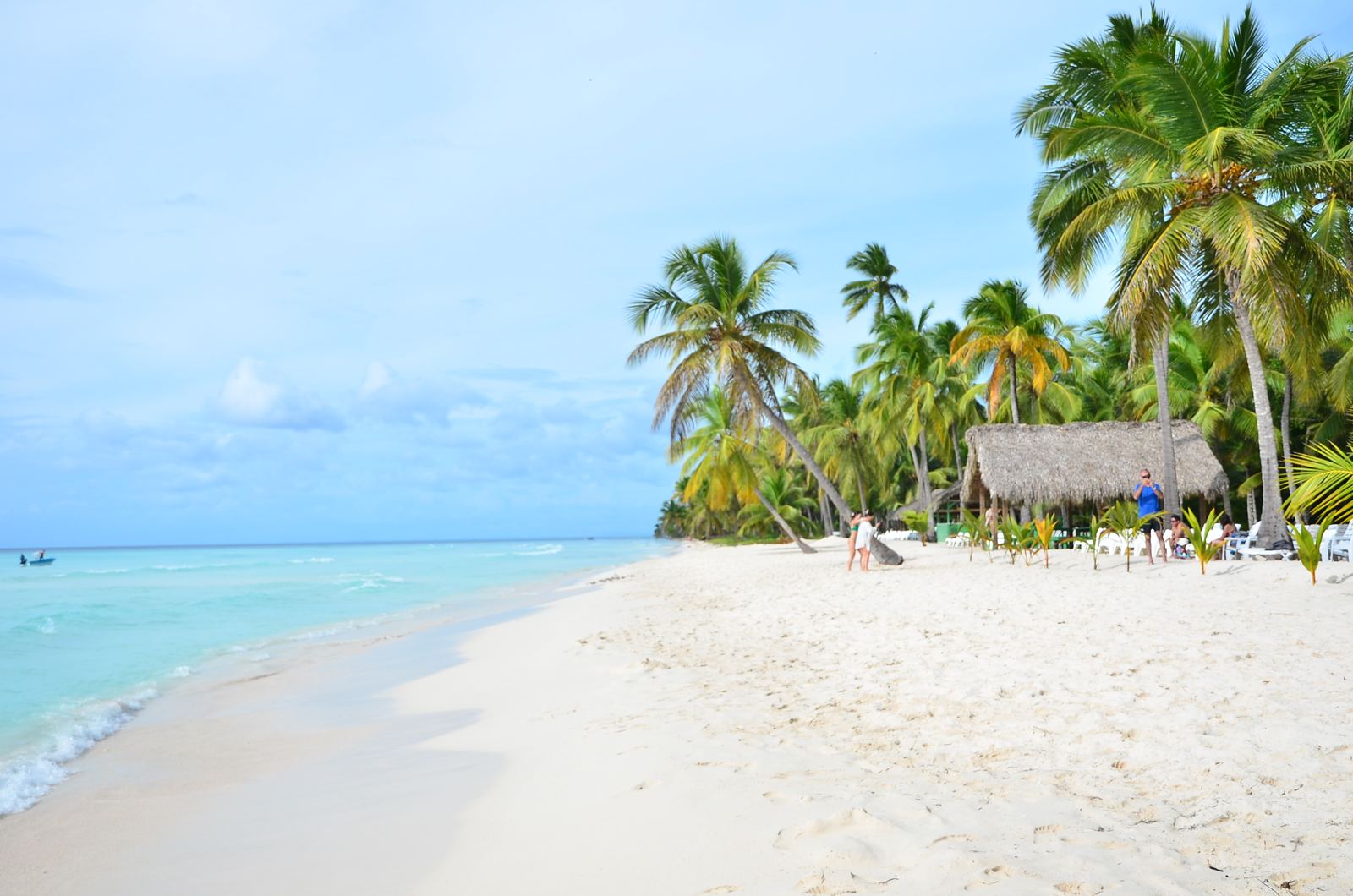 Isla Saona