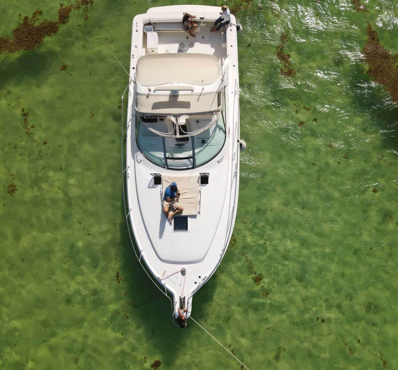 Sea Ray 42 5